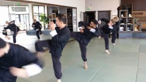 Adult Martial Arts los angeles kung fu