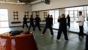 Adult martial arts santa monica kung fu