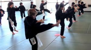 youth wushu brentwood test