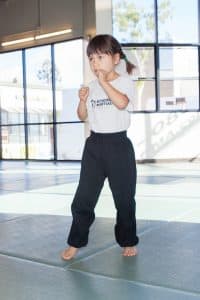 kids martial arts brentwood
