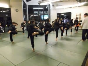 Martial Arts Santa Monica