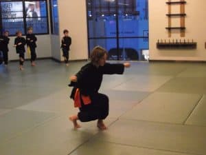 Wushu Cross stance in Kung Fu form
