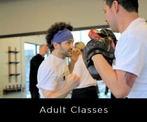 Adult Martial Arts Classes - self defense, cardio workout, discipline, confidence, Kung Fu, Brazilian Jiu Jitsu, Aikido