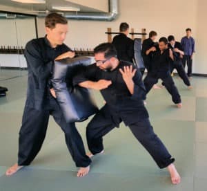 Elbow reverse delivery perspective in martial arts