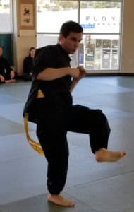 step powerfully goals martial arts