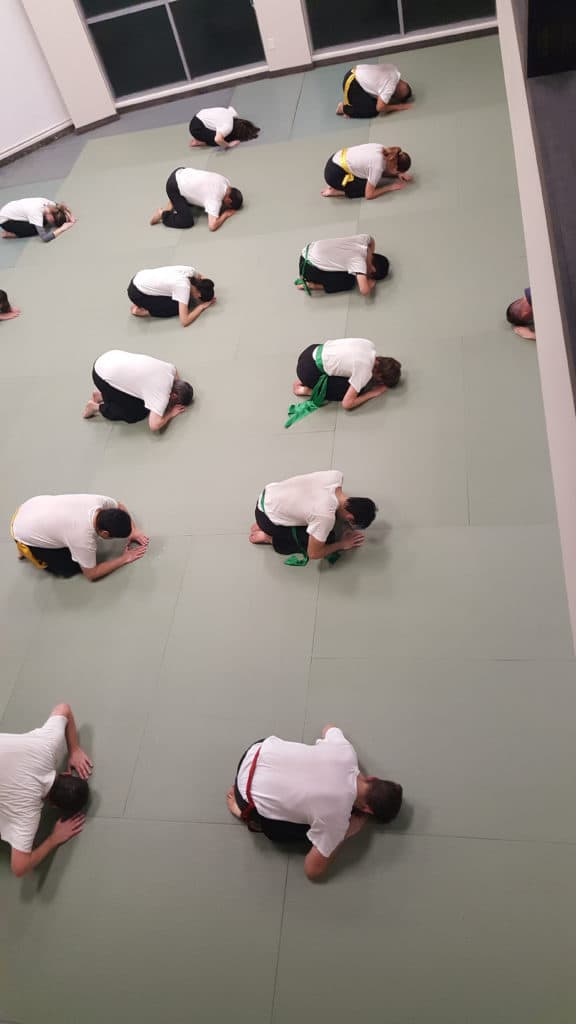 bowing respect in martial arts