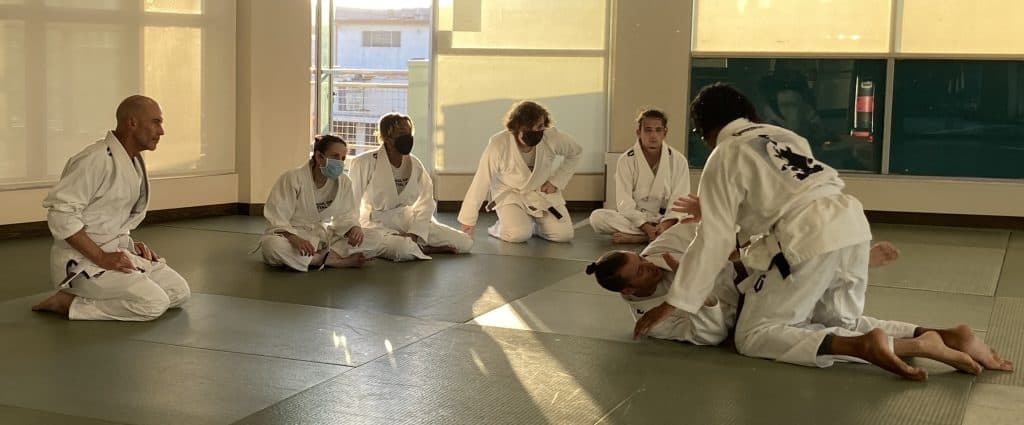 School of Martial Arts Brazilian Jiu Jitsu BJJ