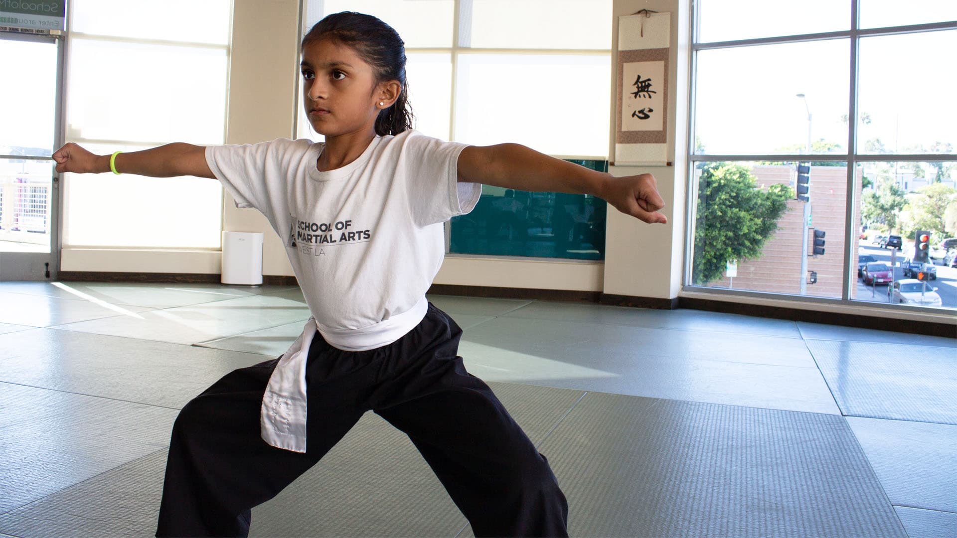 Wushu_II_dojo_horse_stance_1920X1080 - West LA Martial Arts