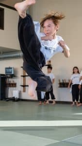 Wushu III dojo flying kicks side kick tall
