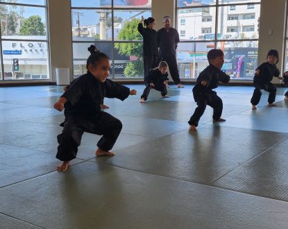 Kids Test Horse Stance Dojo