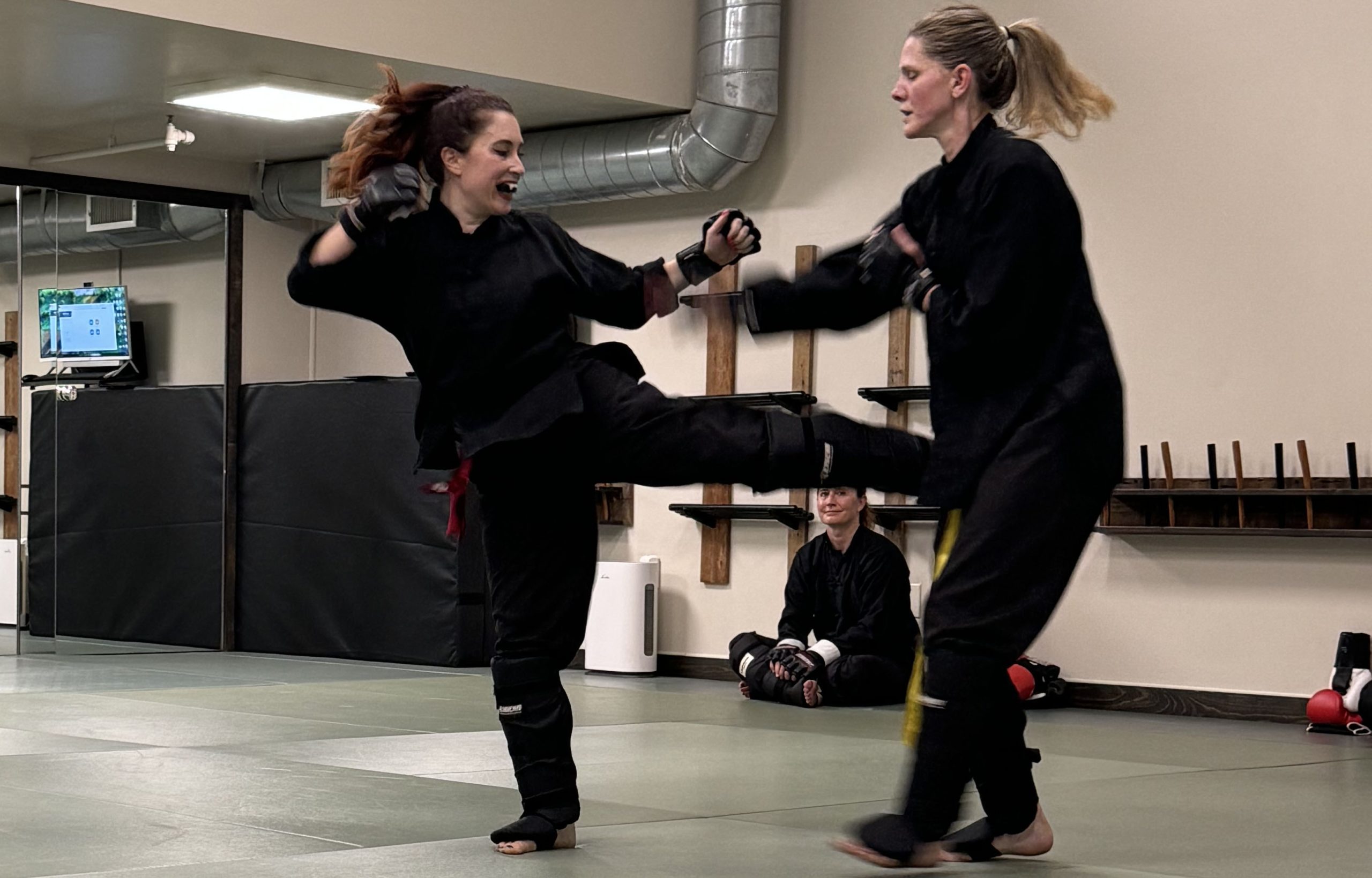 school of martial arts online and in person