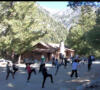 04. Kihonknee kick with a view martial arts retreat
