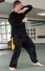 elbow roundhouse martial arts
