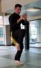 knee kick kung fu