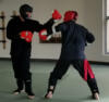 sparring kung fu martial arts