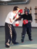 sparring 11