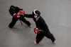 Black-sash-test Day-3 Sparring View-From-Mezzanine-copy